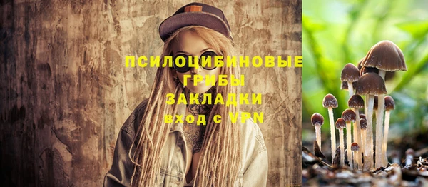молекула духа Балабаново