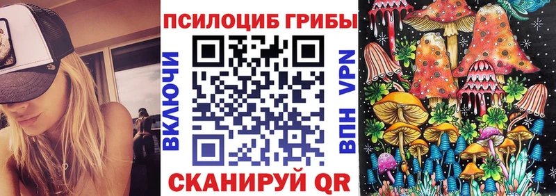Галлюциногенные грибы Cubensis  где продают наркотики  Вельск 